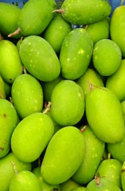 Dasheri - 3 Kg Box