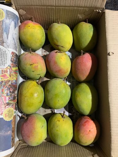 Raspuri - 3 Kg Box