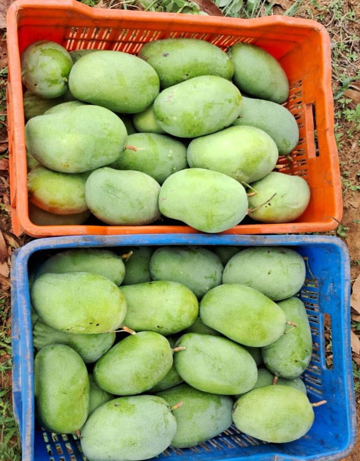 Mallika - 3 Kg Box