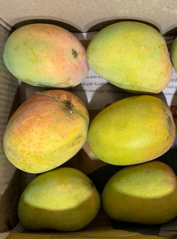 Alphonso Premium - 1.5 Kg Box